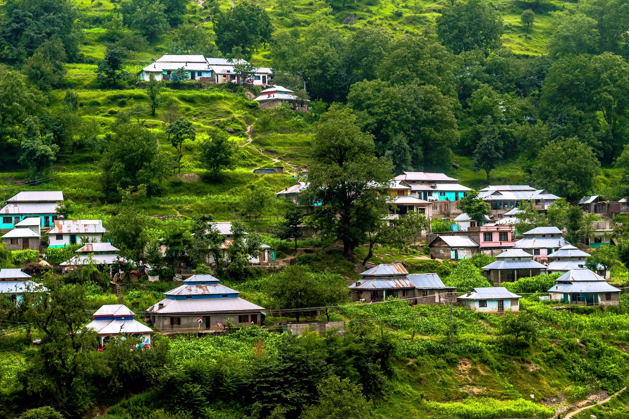 Dudhwa National Park